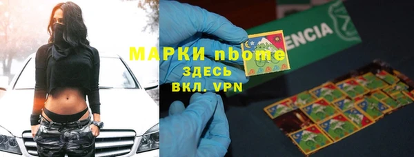 прущие грибы Абаза