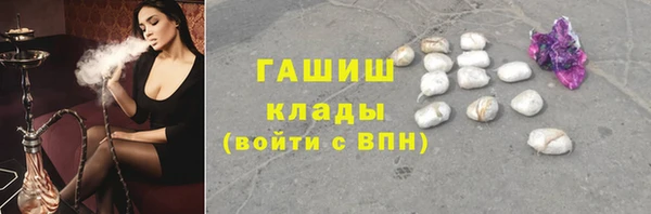 прущие грибы Абаза