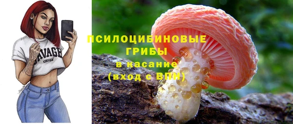 прущие грибы Абаза