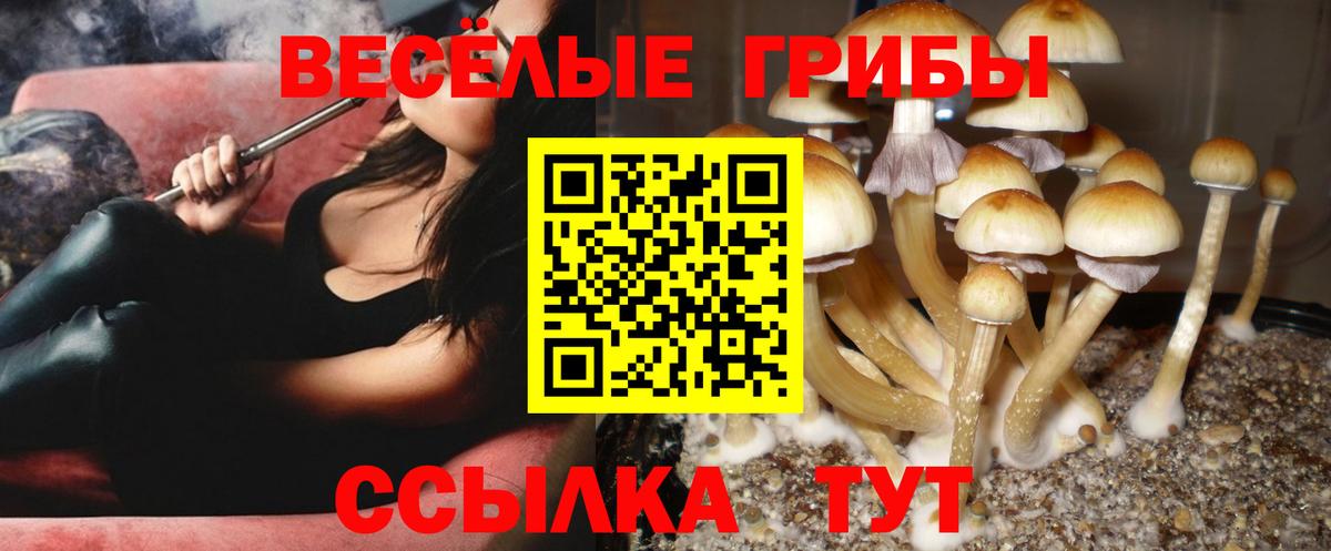 Галлюциногенные грибы Psilocybe  Галлюциногенные грибы Cubensis  Вход с VPN  Копейск 