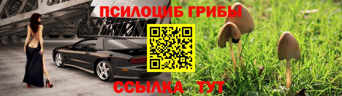 Псилоцибиновые грибы мицелий Копейск